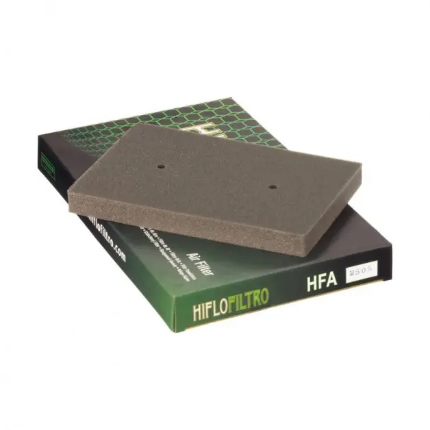 Vzduchový filtr HIFLOFILTRO HFA2505 Must-Have