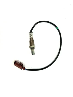 04E906262GF Lambda sonda Objednat Nyní